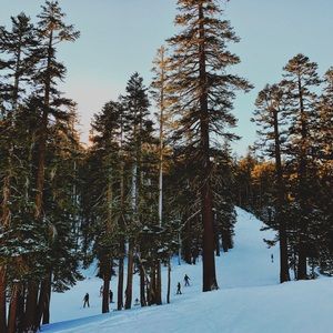 Meet your Posher, Dakota